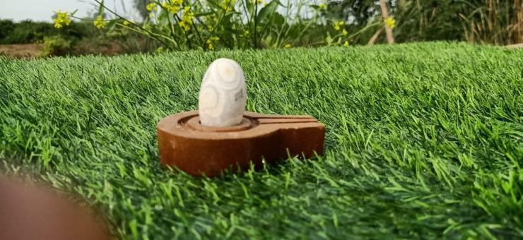 Narmadeshwar  white Shivling Plain Jaldhari 