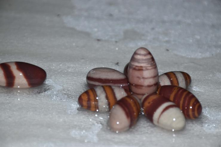 Narmadeshwar Shivling