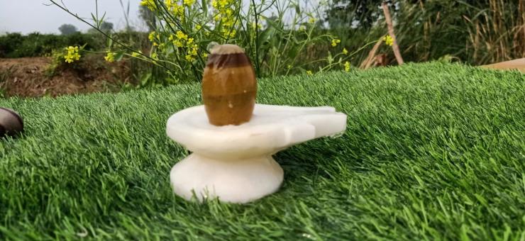 Narmadeshwar Different Color Shivling And White Damru Shape Jaldhari