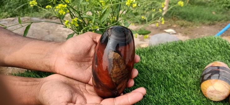 Narmadeshwar Shivling Damru Shape Jaldhari