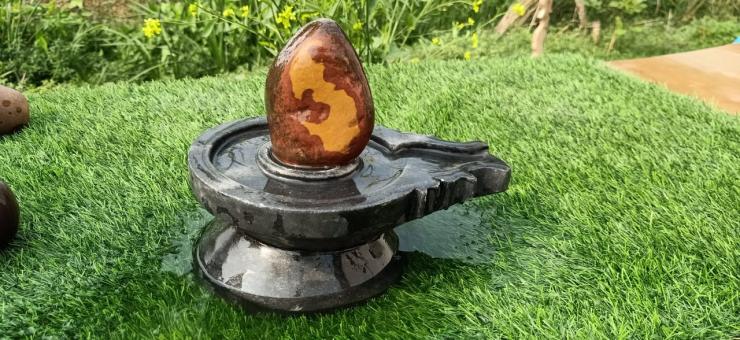 Narmada Netural Shivling 6 Inch  Damru Shape Jaldari 12 Inch