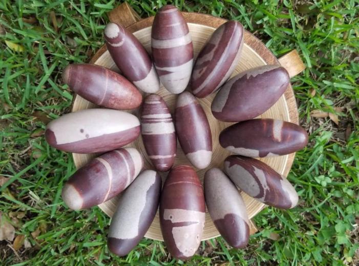 Narmada Sotne Shivling 