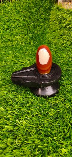 Shivling with Damru Shape Jaldhari  Jaldari Different Color And Design
