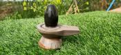 Narmadeshwar Shivling Black Damru Shape Jaldhari Grey