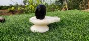 Narmadeshwar Shivling Black Damru Shape Jaldhari White