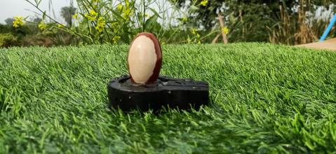 Narmadeshwar Shivling Plain Jaldhari