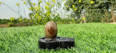Narmadeshwar Stone Shiva Lingam Jaladhari 