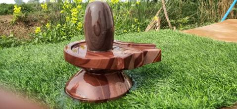 Narmada Shivling Stones with Damru Shape Jaldhari