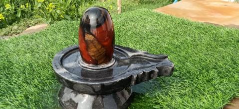 Narmadeshwar Shivling Damru Shape Jaldhari